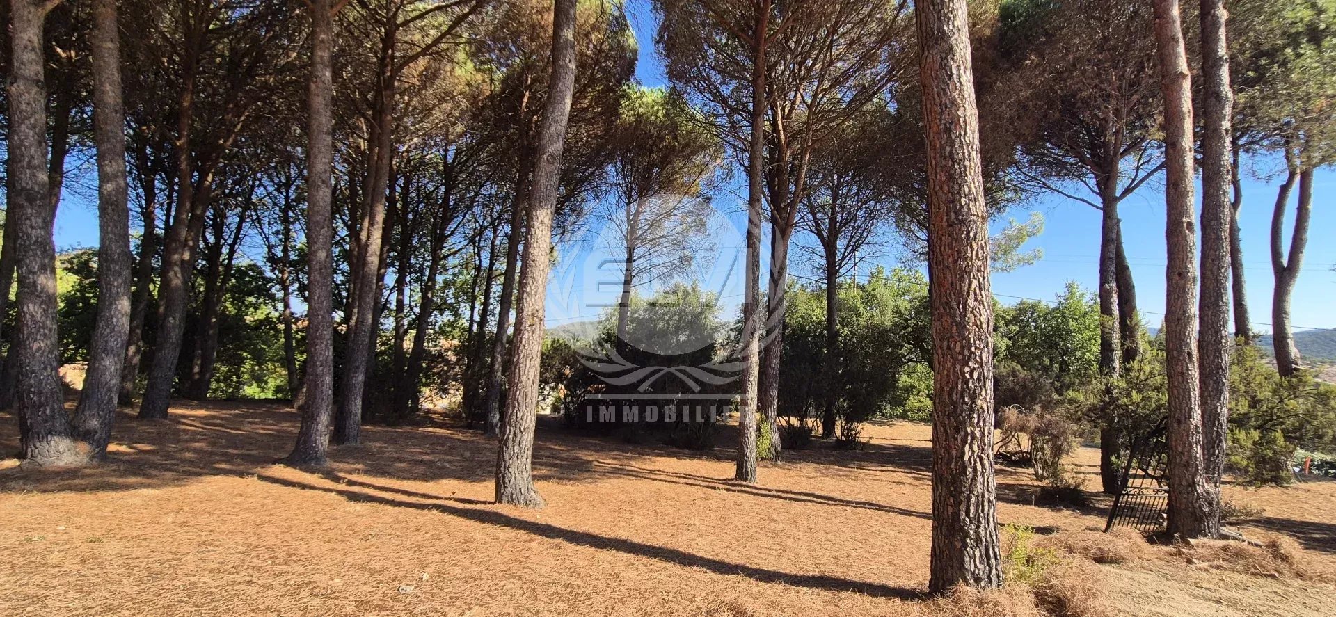 Terrain 5732 m² · au Plan-de-la-Tour · 430 000 €
