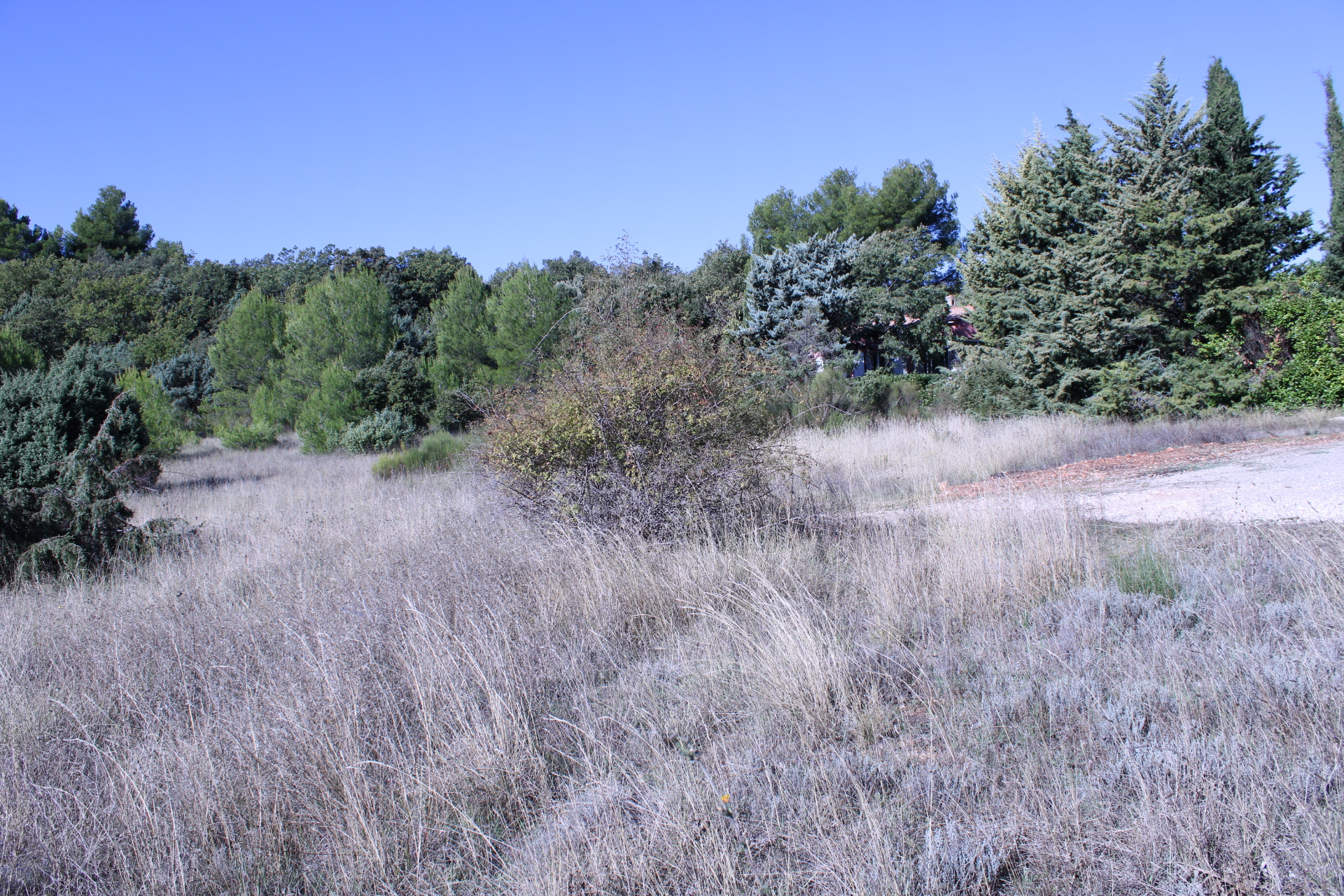 à vendre : terrain à bâtir de 1586 m2 à baudinard-sur-verdon · 118 500 €