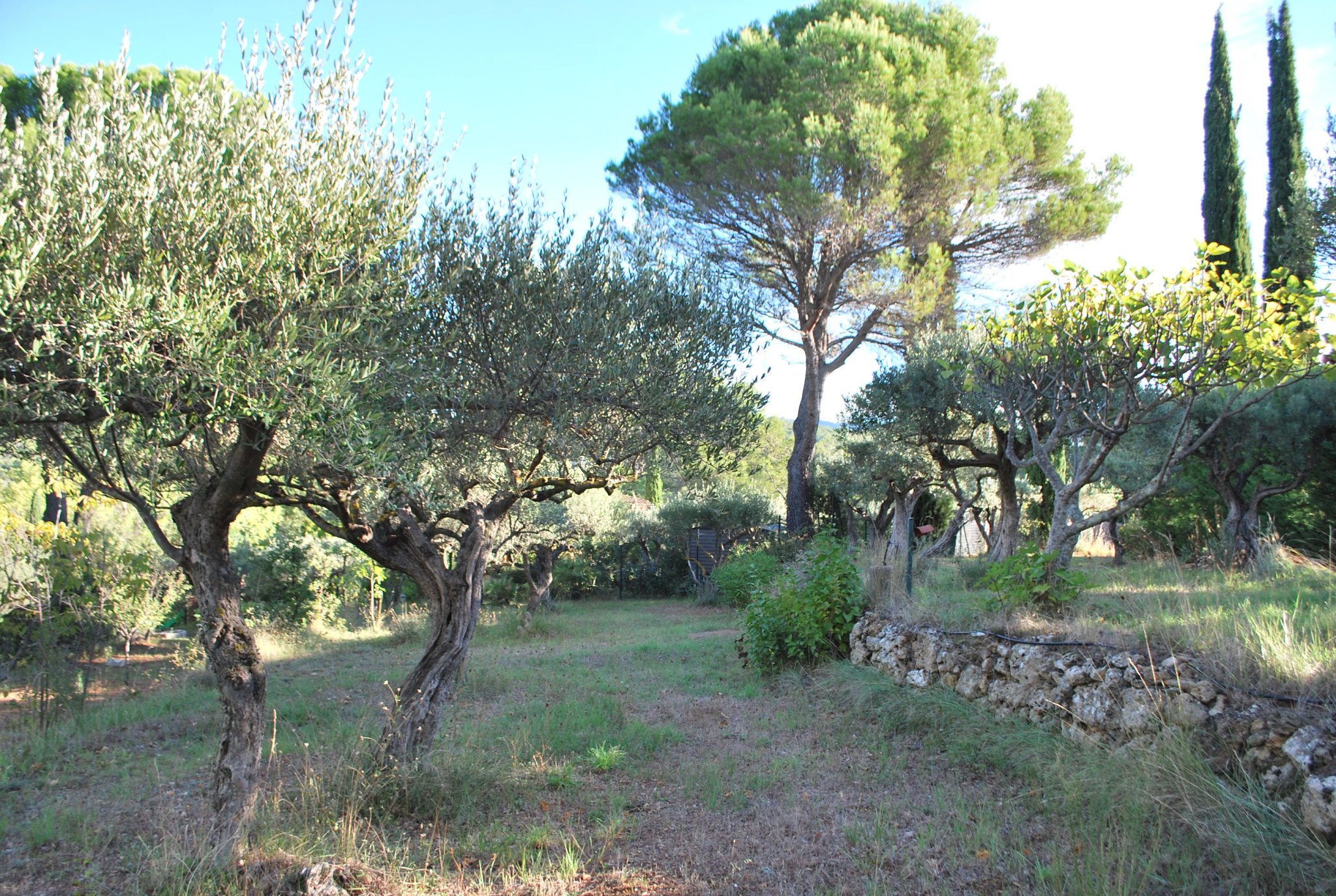 Terrain 225 m² · à Salernes · 225 m² · 158 000 €